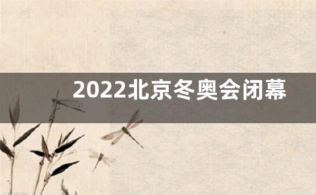 2022北京冬奥会闭幕式感悟收获观后感【五篇】