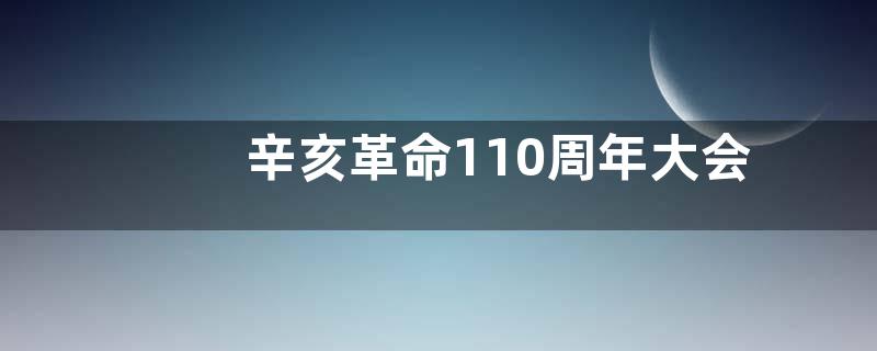 辛亥革命110周年大会讲话心得体会【最新2篇】