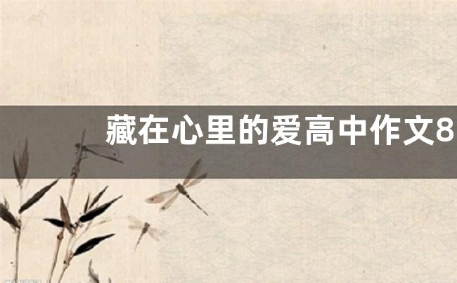 藏在心里的爱高中作文800字  藏在心里的爱高中作文五篇